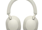 Platinum Silver