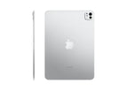 256GB / Silver / Wi-Fi only
